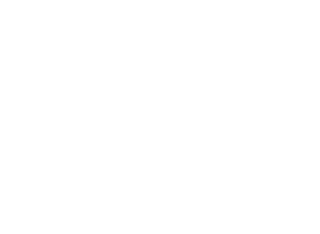 Professional Fire Services